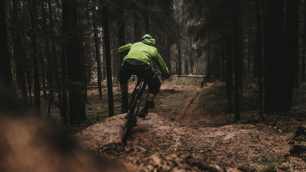 Three-Dimensional Feedback